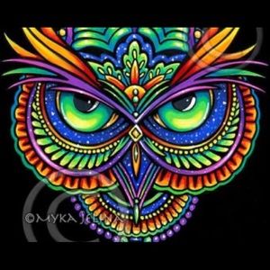 Meet your Posher, Joni